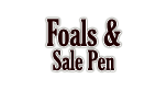 Foals and Sale Pen