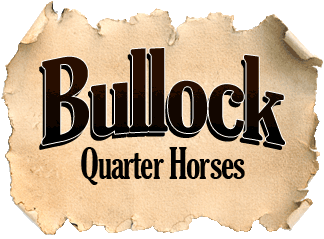 Bullock Quarter Horses website logo