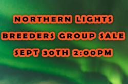 Northern Lights Breeders Group SALE Sept 30th 2:00pm