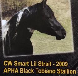 CPH Texas Star