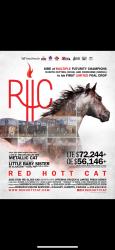 Red Hott Aryse
