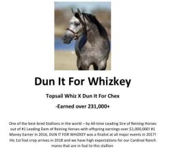 CPH Kentucky Whizkey