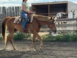 Wyatt aka There I go