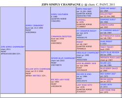 Zips Skip To MaLoo