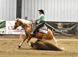 AQHA pending