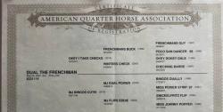 Dual The Frenchman - Booker