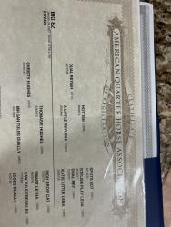 AQHA PENDING