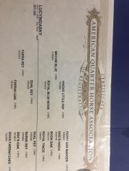 AQHA PENDING