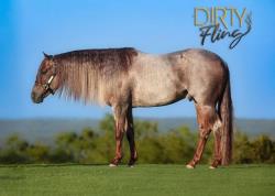 2026 Foal In Utero