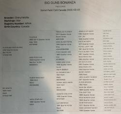 BIG GUNS BONANZA