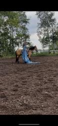Gunsmoke
