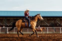 Gunsmoke