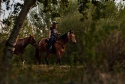 Gunsmoke