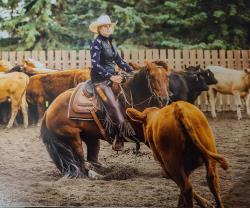COWBOY GUNSLINGER