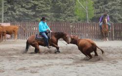 COWBOY GUNSLINGER