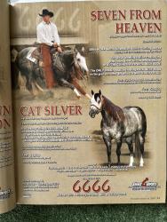 Silver Tradition