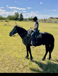 Blain Revelstoke Gunner