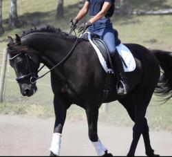 Blain Revelstoke Gunner