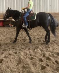 Blain Revelstoke Gunner