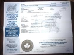 Blain Revelstoke Gunner