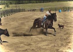 Sr Classicfrenchkiss