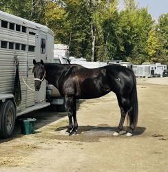 Sr Classicfrenchkiss