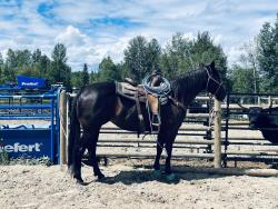 Sr Classicfrenchkiss