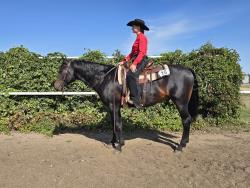 RP Just A Smooth Sailor