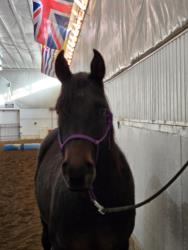 RP Just A Smooth Sailor