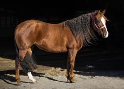 Marvelous Miss Mavis