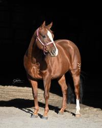 Marvelous Miss Mavis