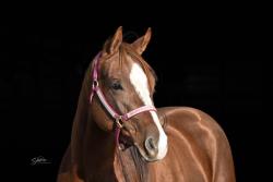 Marvelous Miss Mavis