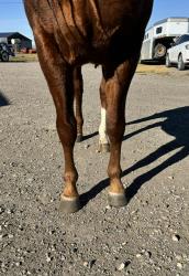 Marvelous Miss Mavis