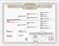 Marvelous Miss Mavis