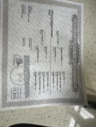 I Shouldabeenacowboy