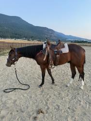 I Shouldabeenacowboy