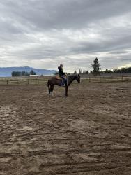 I Shouldabeenacowboy