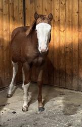 LNTS Gunna See Stars