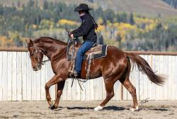 PICASSOS ROYAL FLUSH