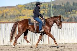 PICASSOS ROYAL FLUSH