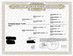 PICASSOS ROYAL FLUSH