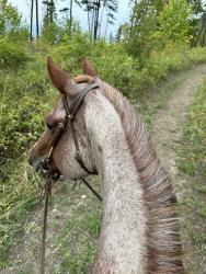 Believe Inagoodthing