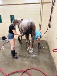 Believe Inagoodthing