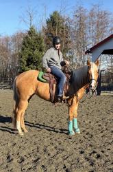 JC Designed To Shine