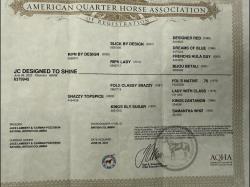 JC Designed To Shine