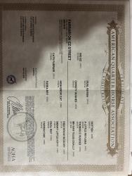 Farrari on ez street