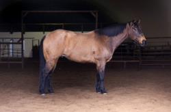Monster Under My Bed