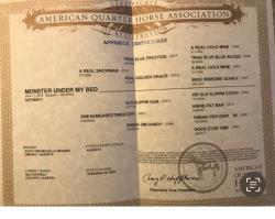 Monster Under My Bed