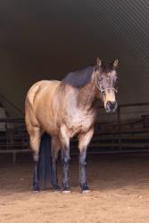 Monster Under My Bed