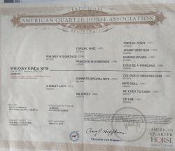 CPH Einsteins TX Star